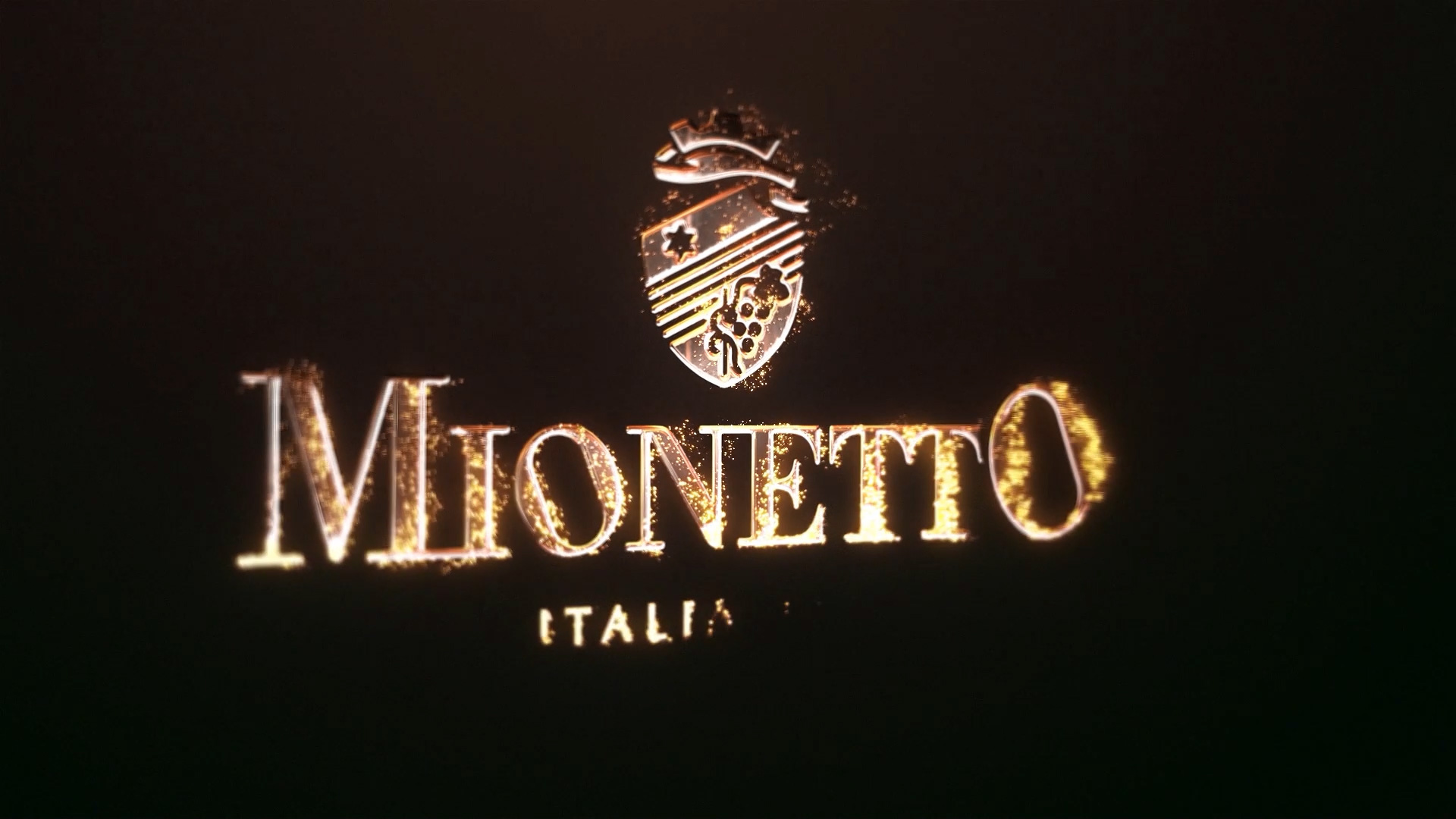 MIONETTO New Corporate Logo 2025 Logo Minimal Intro 1080p v3 2 2