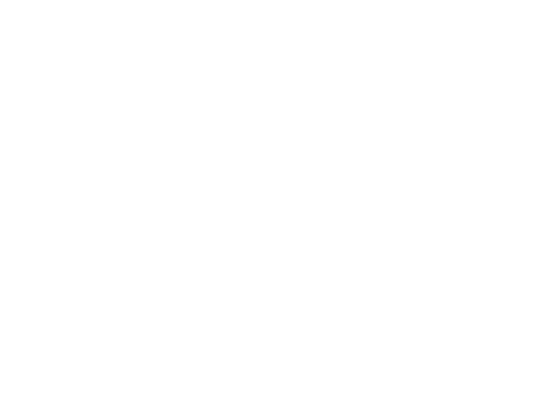 merko client logo